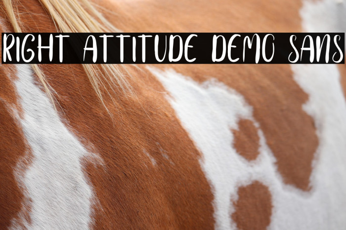 Right Attitude Demo Sans Example 2