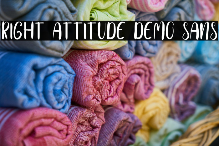 Right Attitude Demo Sans Example 3