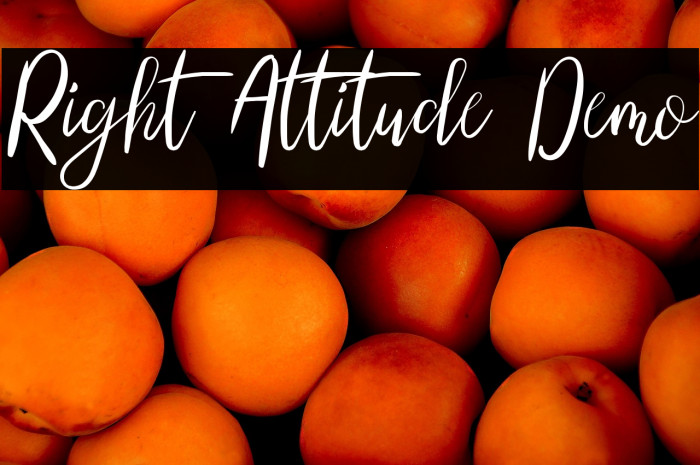 Right Attitude Demo Example 1