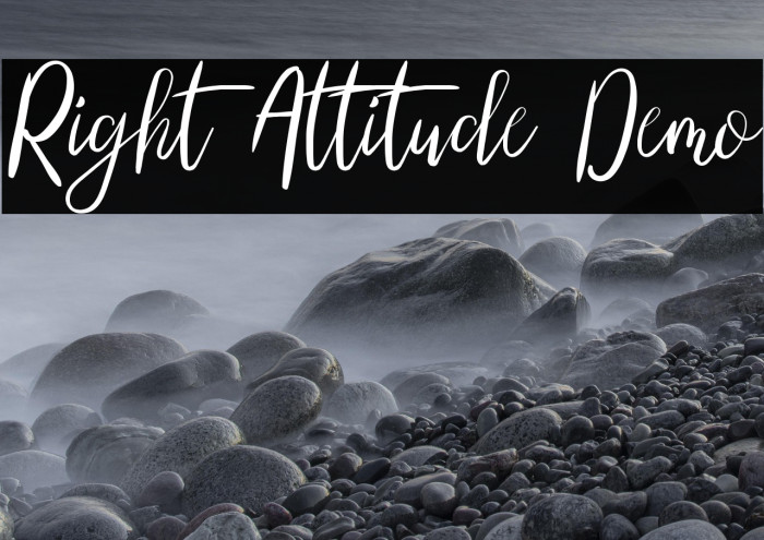 Right Attitude Demo Example 2