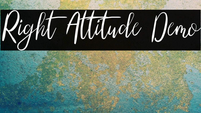 Right Attitude Demo Example 3