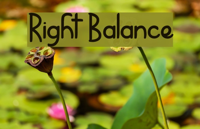 Right Balance Font examples