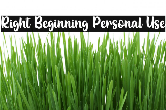 Right Beginning Personal Use Font examples