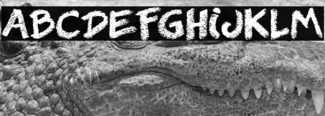 Right Chalk Font examples