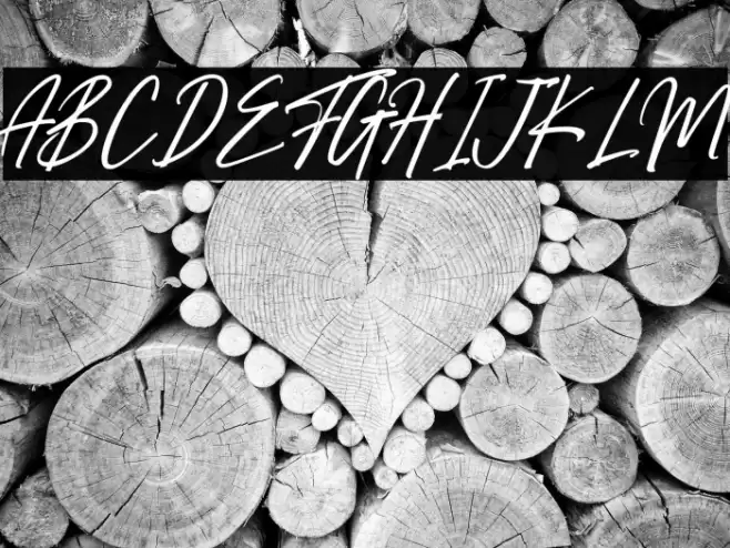 Right Female Font examples