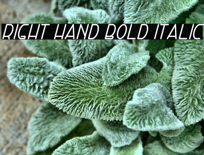 Right Hand Bold Italic Font examples