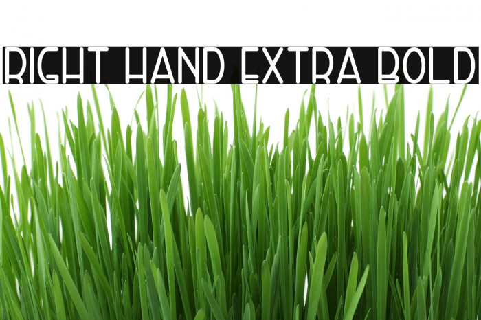 Right Hand Extra Bold Font examples