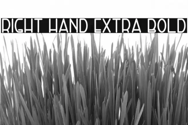 Right Hand Extra Bold Caratteri examples