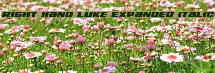 Right Hand Luke Expanded Italic Example 1