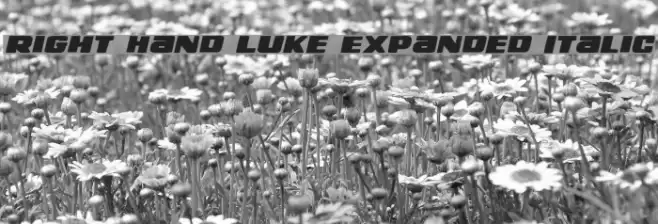 Right Hand Luke Expanded Italic Font examples
