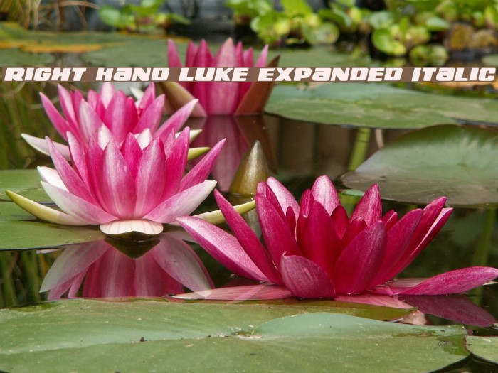 Right Hand Luke Expanded Italic Example 2