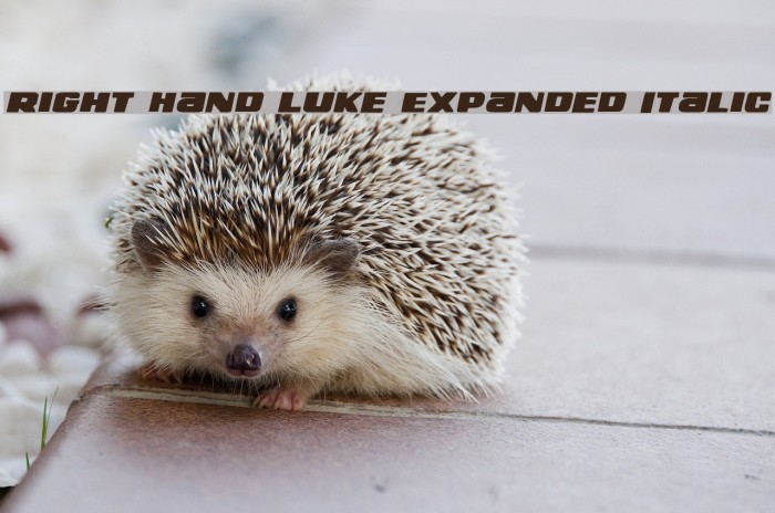 Right Hand Luke Expanded Italic Example 3