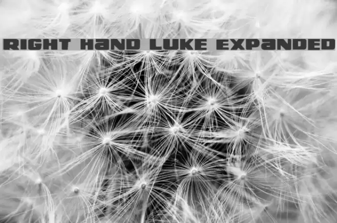 Right Hand Luke Expanded Font examples