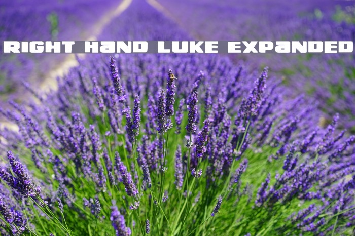Right Hand Luke Expanded Example 2