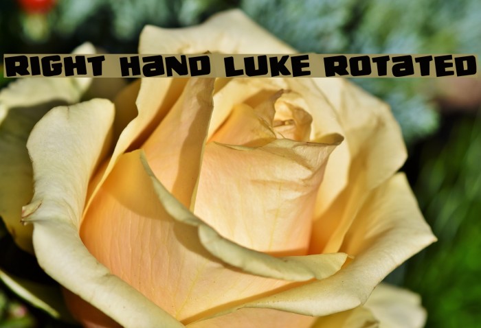 Right Hand Luke Rotated Example 1