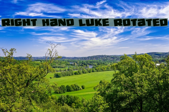 Right Hand Luke Rotated Example 2
