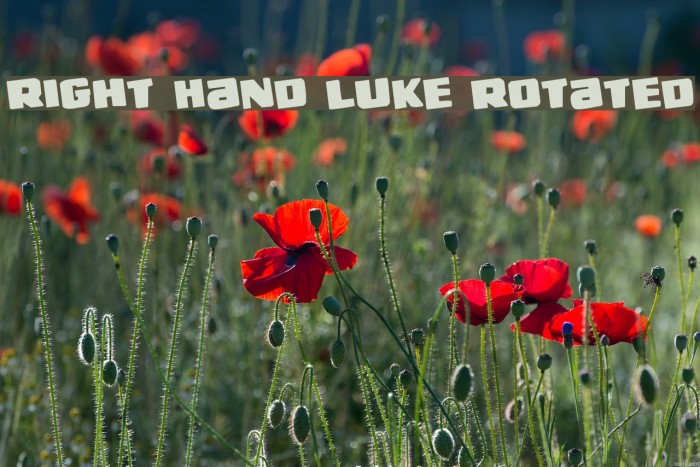 Right Hand Luke Rotated Example 3