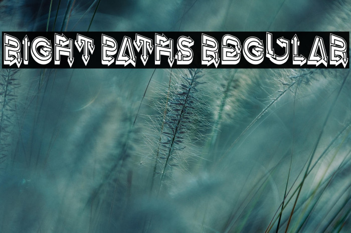 Right Paths Regular Example 1