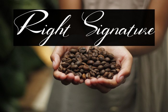 Right Signature Example 1