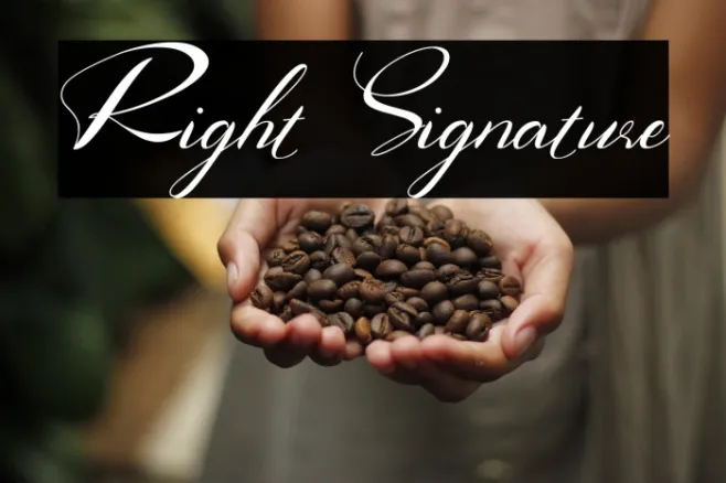 Right Signature Example 1