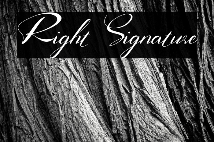 Right Signature Example 2