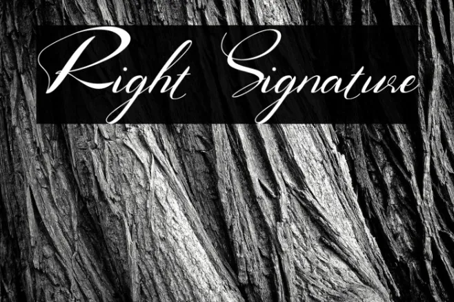 Right Signature Example 2