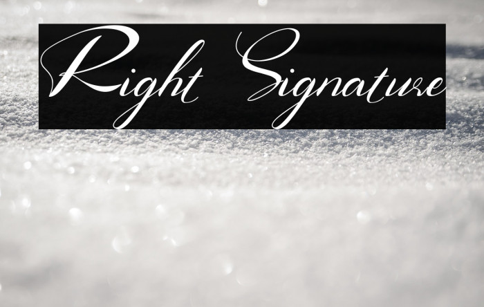 Right Signature Example 3