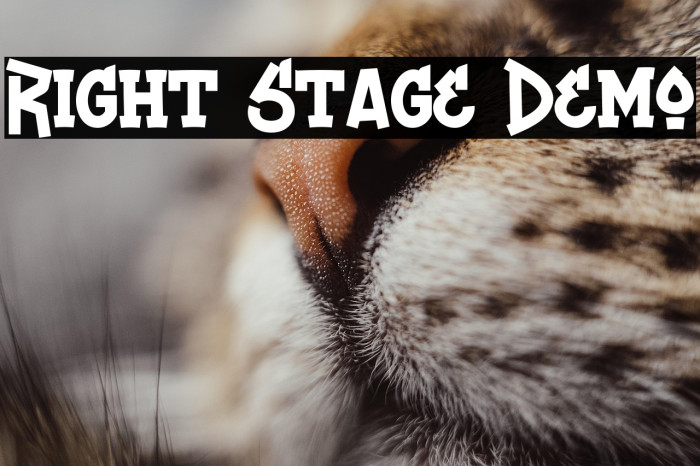 Right Stage Demo Example 2