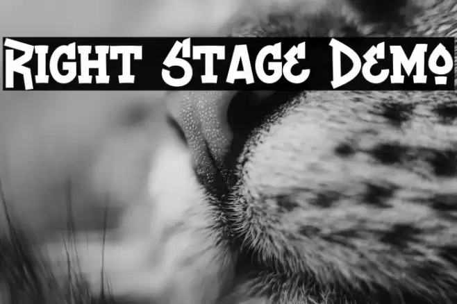 Right Stage Demo Font examples