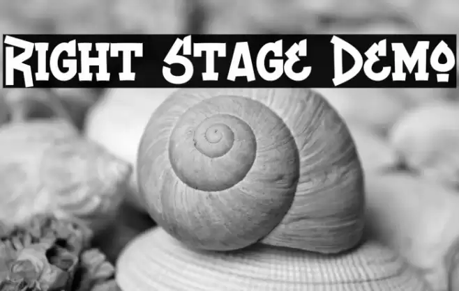 Right Stage Demo Font examples
