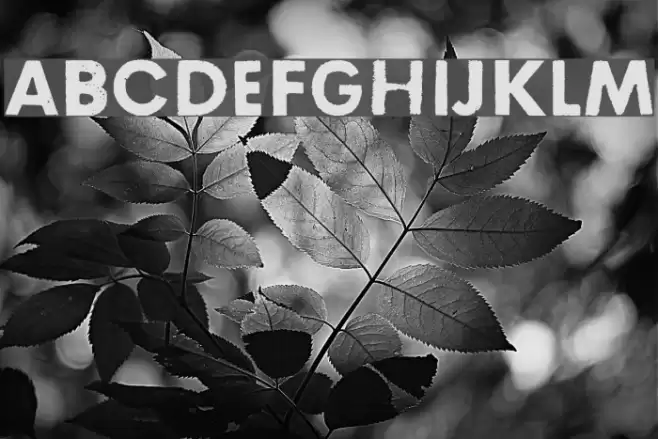 Right here, right now Font examples