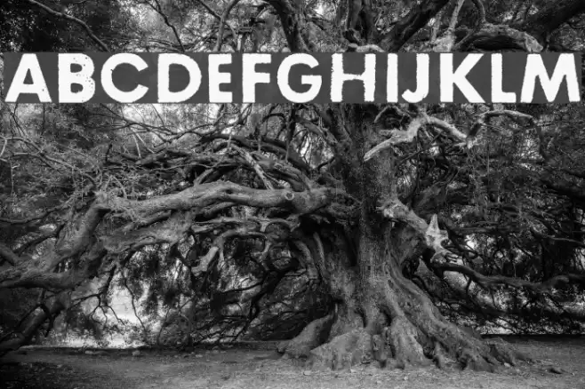 Right here, right now Font examples