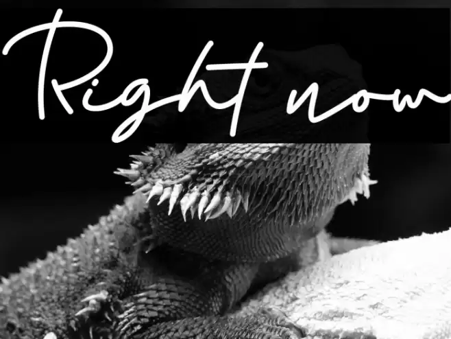 Right now Font examples