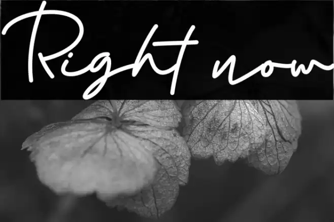 Right now Font examples