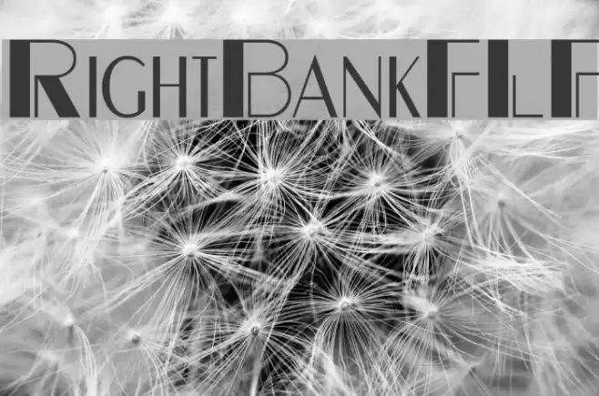 RightBankFLF Schriftart examples