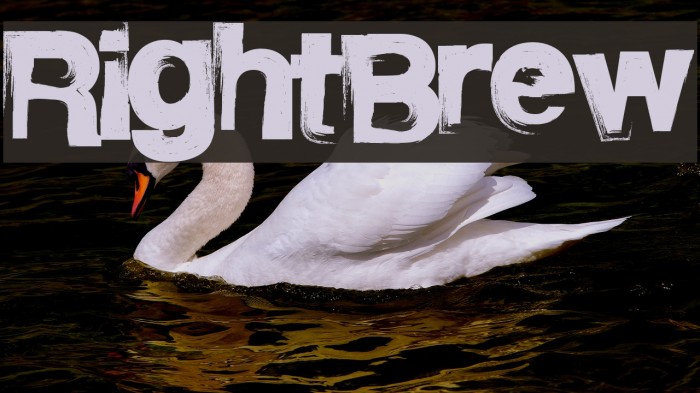 RightBrew Font examples