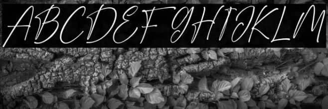 RightHere Font examples