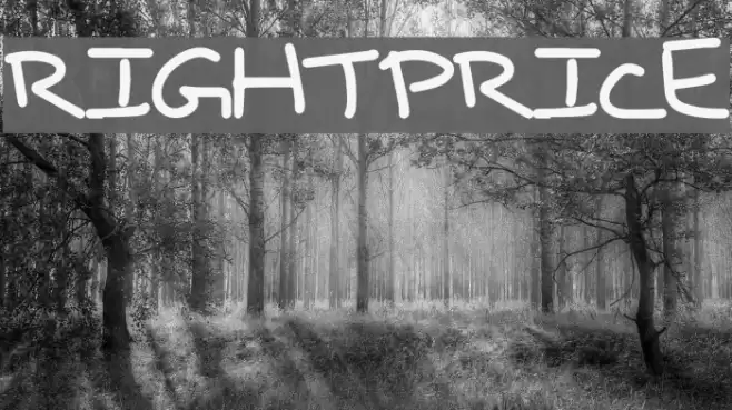 RightPrice Font examples