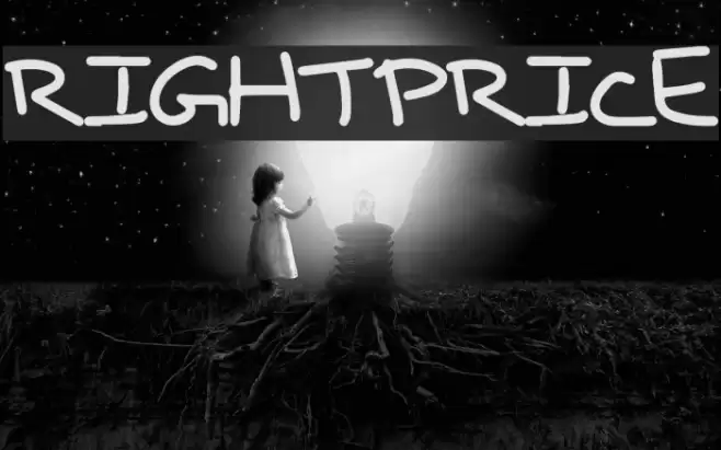 RightPrice Font examples