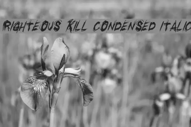 Righteous Kill Condensed Italic Font examples