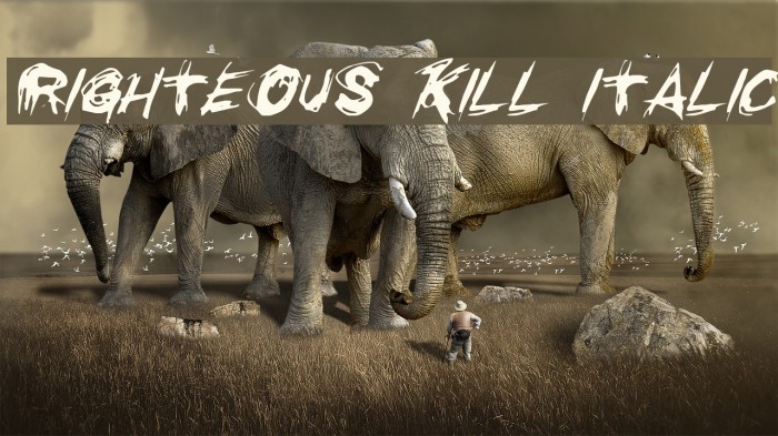 Righteous Kill Italic Font examples