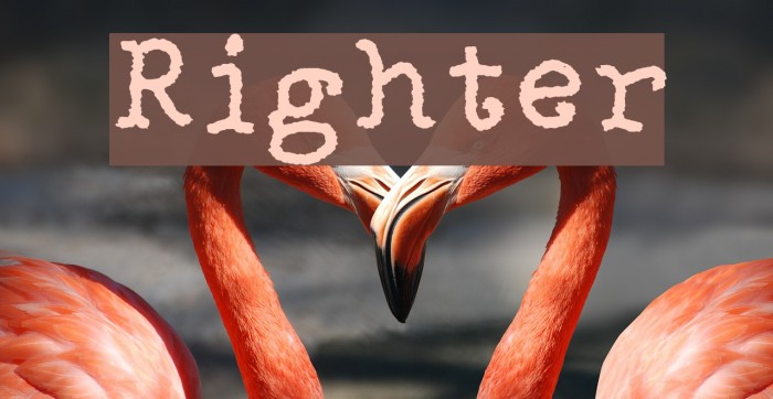 Righter Font examples