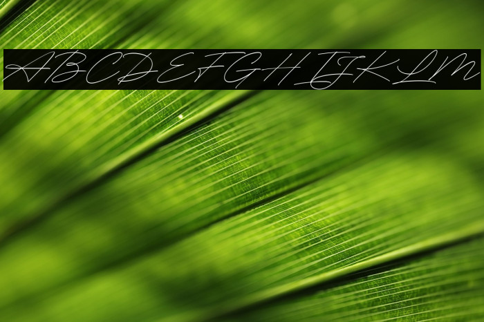 RighthandSignature Example 1