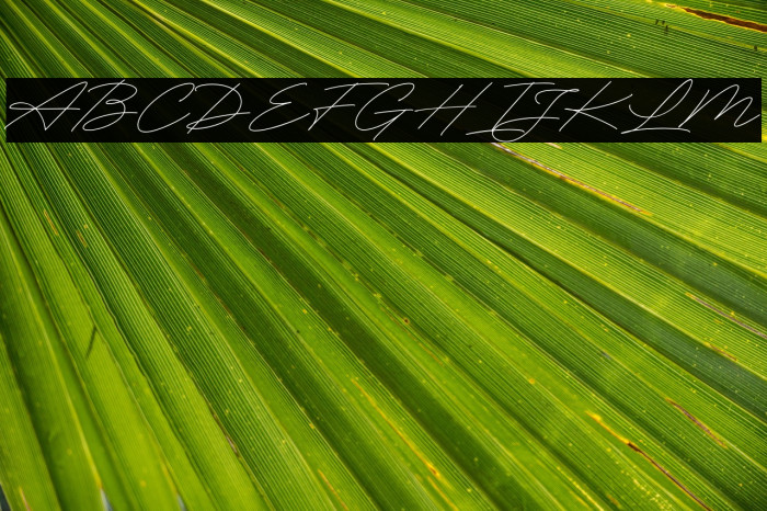 RighthandSignature Example 1