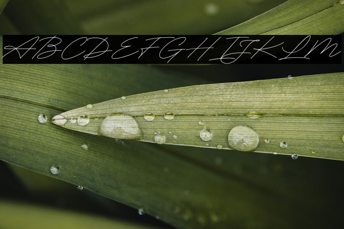 RighthandSignature Example 3