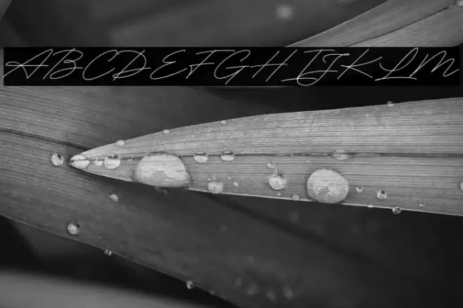 RighthandSignature Font examples