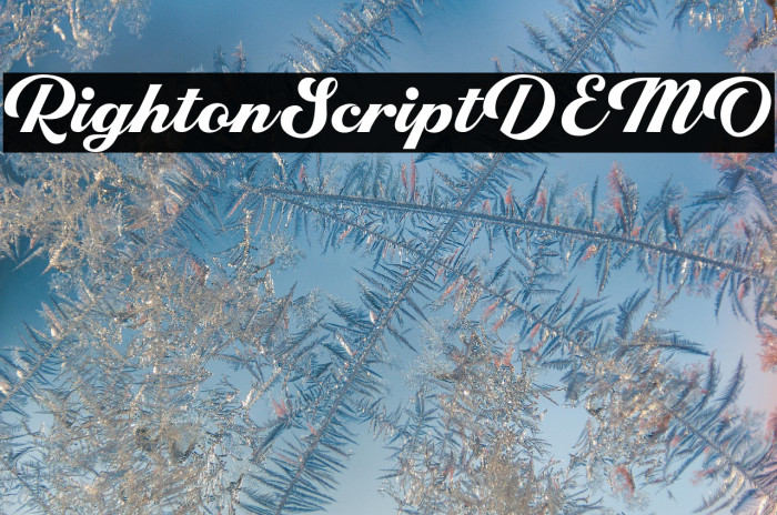 RightonScriptDEMO Example 2