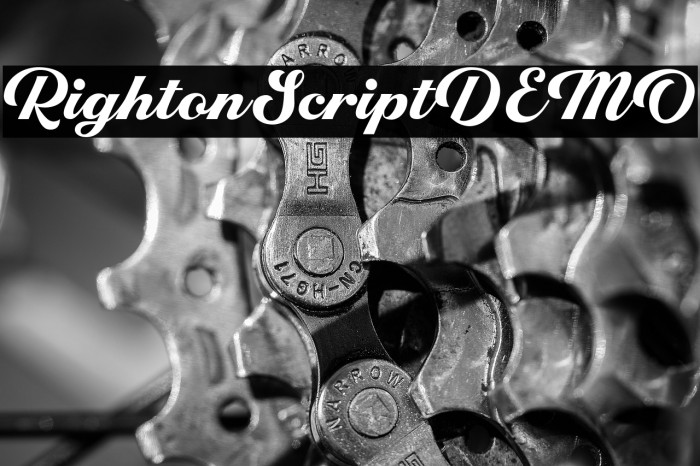 RightonScriptDEMO Example 3