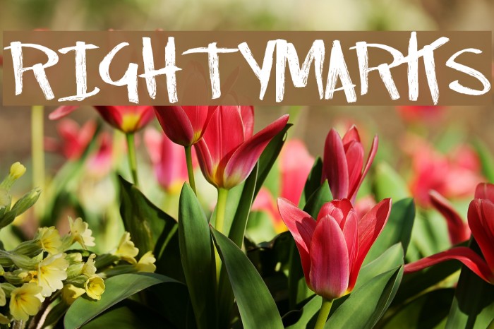 RightyMarks Font examples