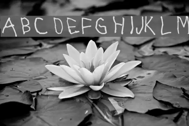 RightyUsesLeftHand Font examples